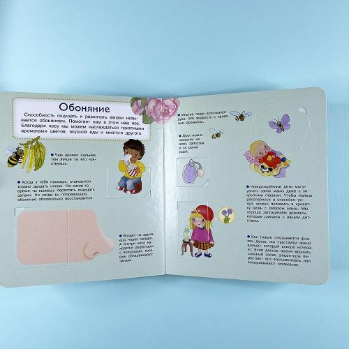 Что? Почему? Зачем? Наши органы чувств (книга с дефектом)