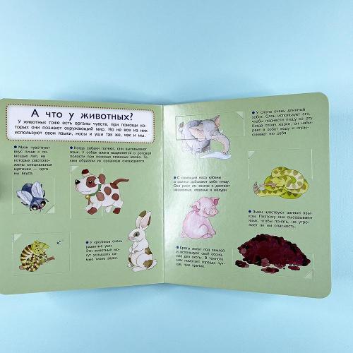 Что? Почему? Зачем? Наши органы чувств (книга с дефектом)