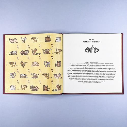 Кошачьи "почему"