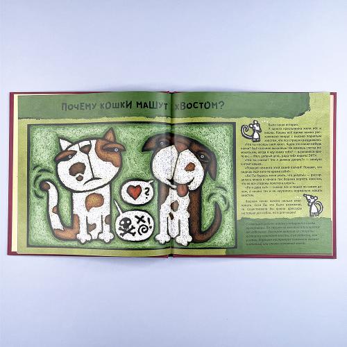 Кошачьи "почему"