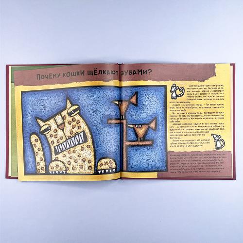 Кошачьи "почему"