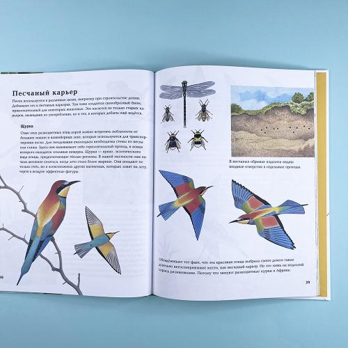 Животные рядом с нами