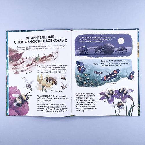 Детская энциклопедия насекомых