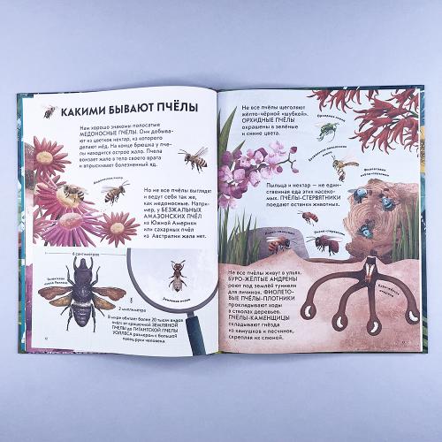 Детская энциклопедия насекомых