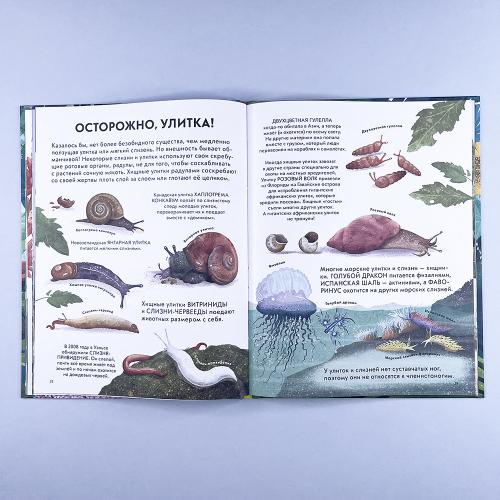 Детская энциклопедия насекомых