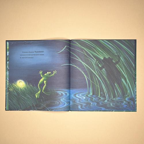 Темной, темной ночью (книга с дефектом)