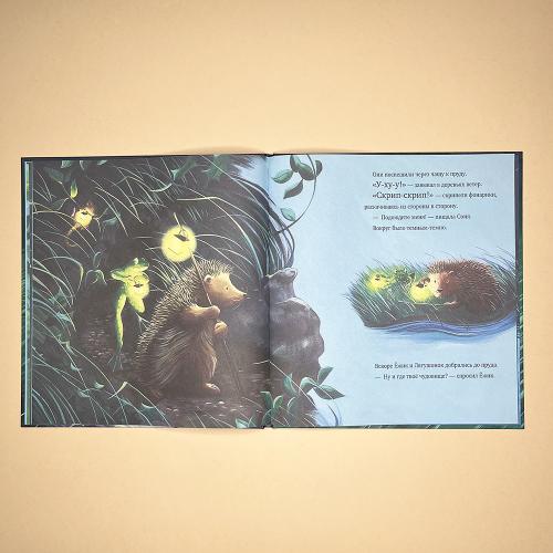 Темной, темной ночью (книга с дефектом)