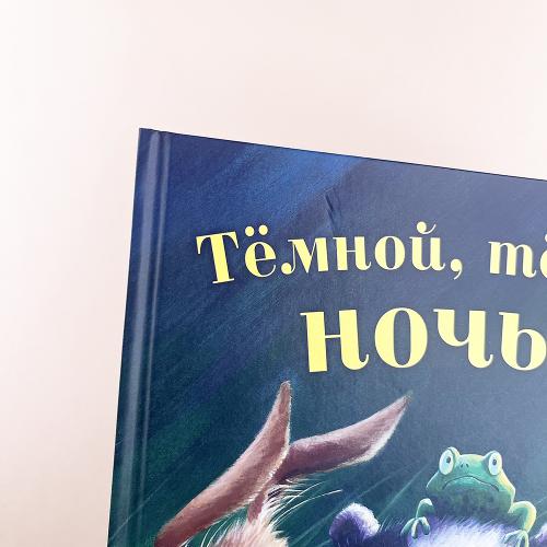 Темной, темной ночью (книга с дефектом)