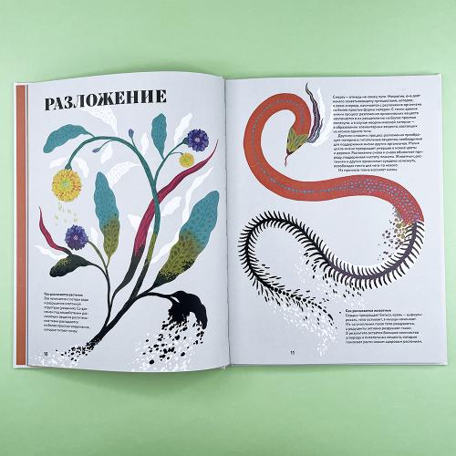 Чудесная книга смерти