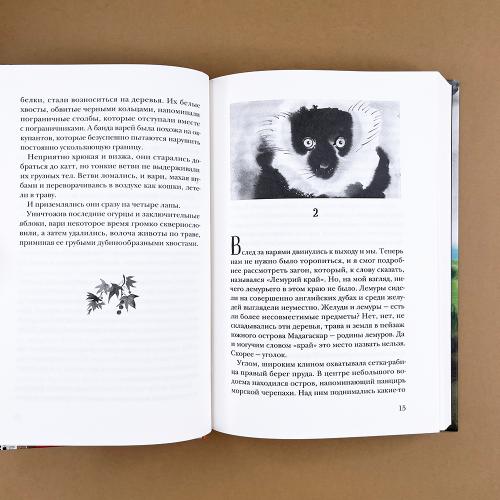 Остров, одетый в джерси