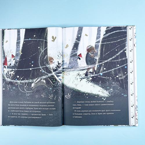 Эрик и мечта лиса