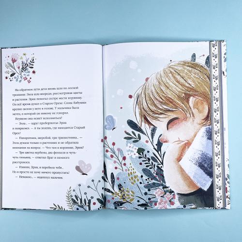 Эрик и мечта лиса