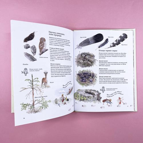 Экспедиция Софи