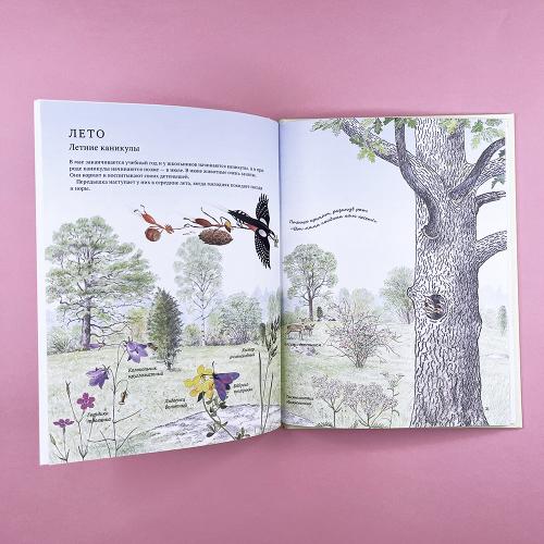 Экспедиция Софи