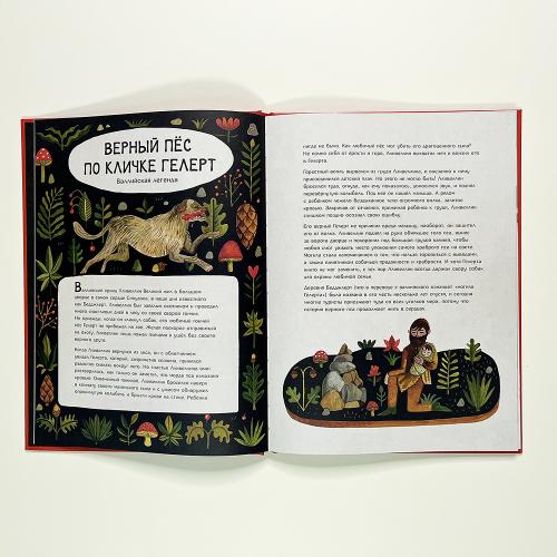 Волшебный мир природы. Сказки, мифы и легенды (книга с дефектом)