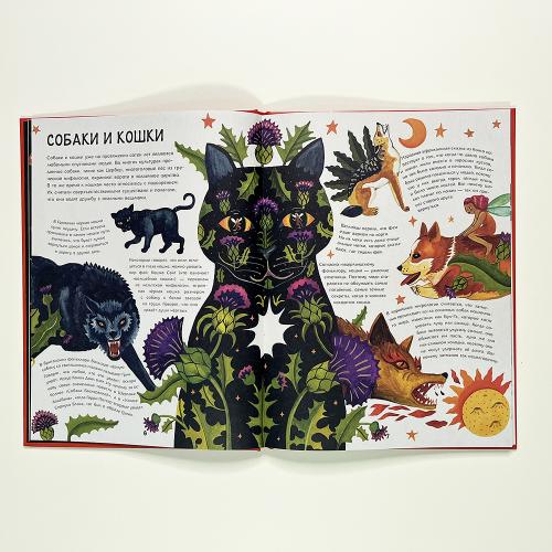 Волшебный мир природы. Сказки, мифы и легенды (книга с дефектом)