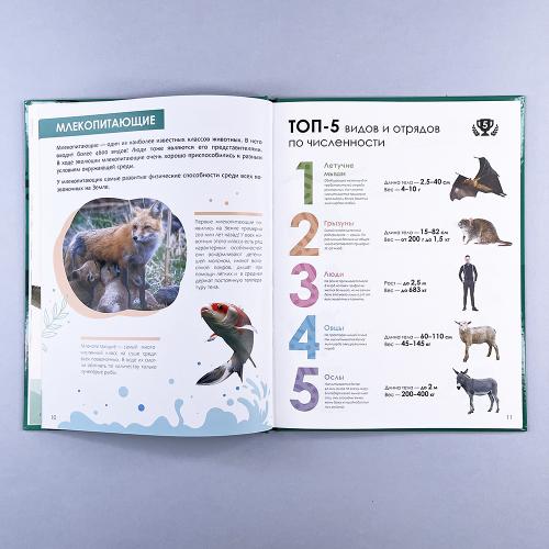 Детская энциклопедия. Животные