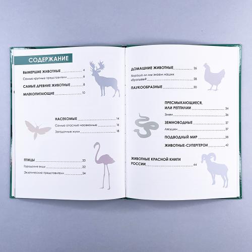 Детская энциклопедия. Животные