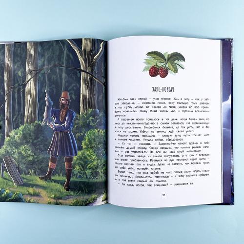 Сказки о Лапландии (книга с дефектом)