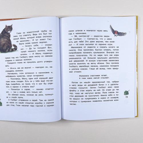 Гном из водосточной трубы (книга с дефектом)