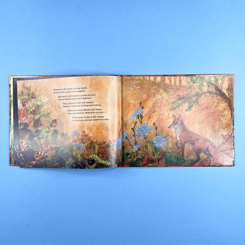 Летим в страну эльфов (книга с дефектом)