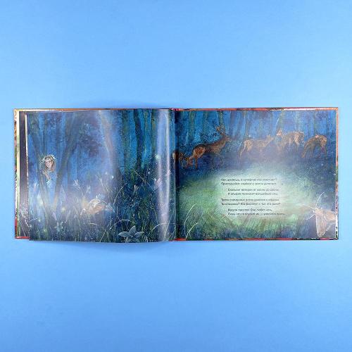 Летим в страну эльфов (книга с дефектом)