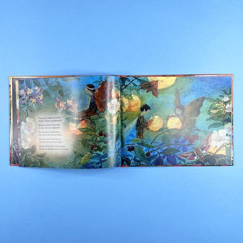 Летим в страну эльфов (книга с дефектом)