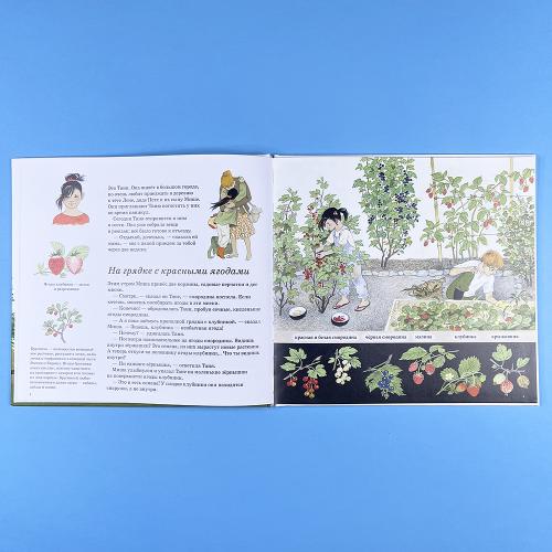 Как растут ягоды, орехи и фрукты (книга с дефектом)