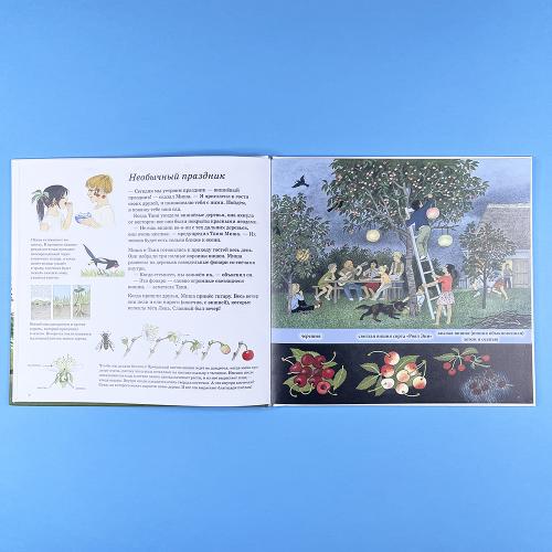 Как растут ягоды, орехи и фрукты (книга с дефектом)