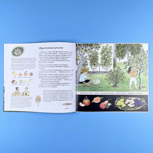 Как растут ягоды, орехи и фрукты (книга с дефектом)