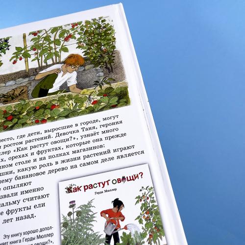 Как растут ягоды, орехи и фрукты (книга с дефектом)