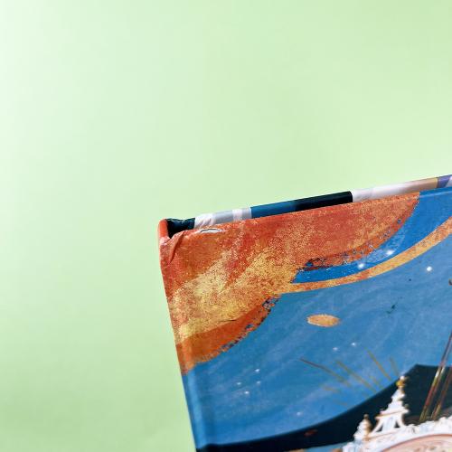 Золушка (книга с дефектом)