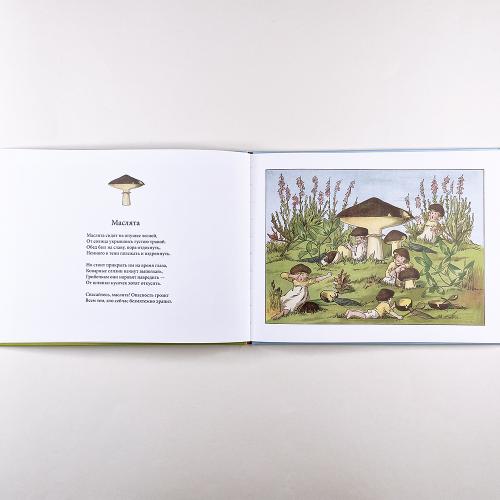 В гостях у грибного народца