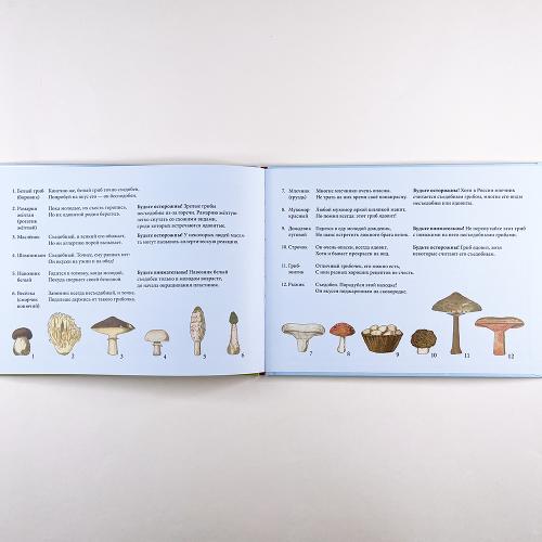 В гостях у грибного народца