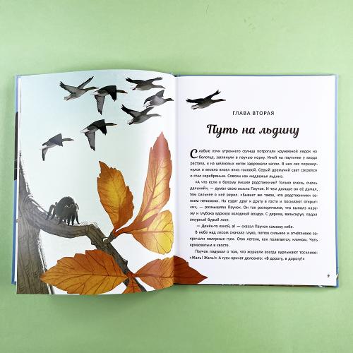 Перелётный Паучок