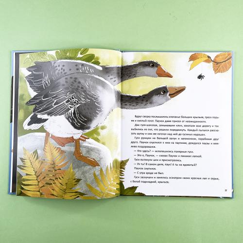 Перелётный Паучок