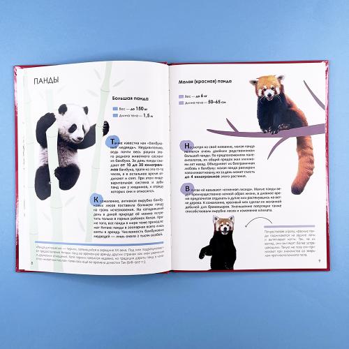 Детская энциклопедия. Красная книга