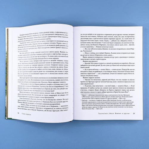 Вверх по Причуди и обратно