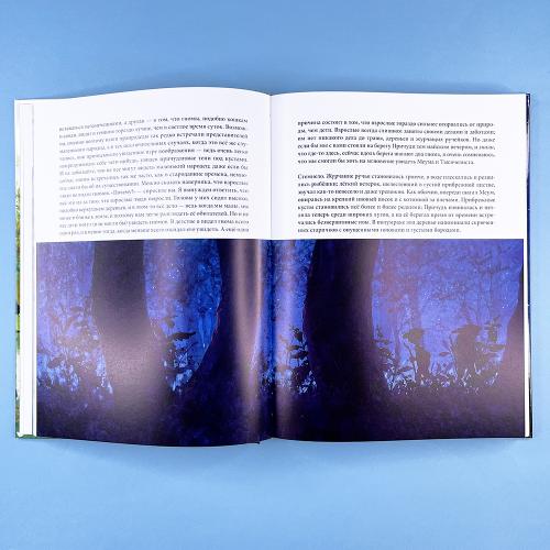 Вверх по Причуди и обратно