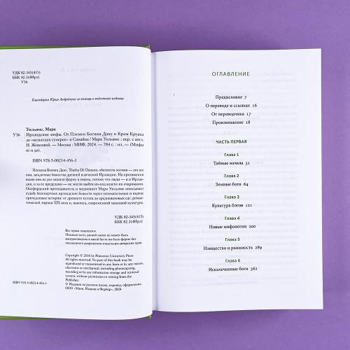Ирландские мифы. От Племен Богини Дану и Кром Круаха до «кельтских сумерек» и Самайна