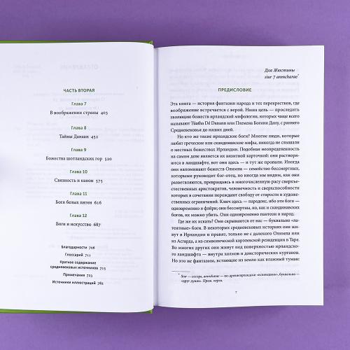 Ирландские мифы. От Племен Богини Дану и Кром Круаха до «кельтских сумерек» и Самайна