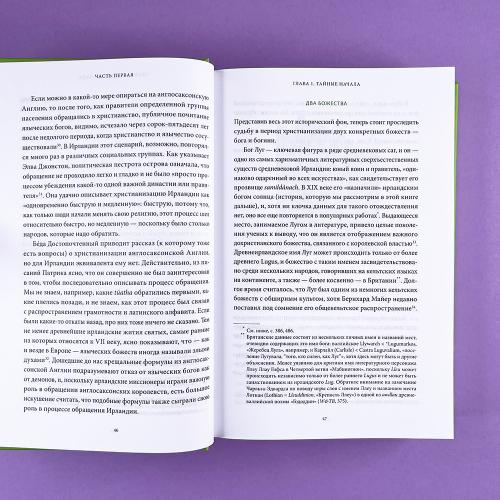 Ирландские мифы. От Племен Богини Дану и Кром Круаха до «кельтских сумерек» и Самайна