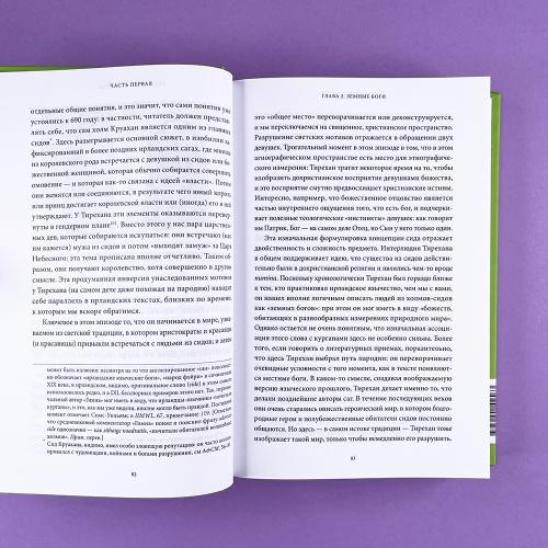 Ирландские мифы. От Племен Богини Дану и Кром Круаха до «кельтских сумерек» и Самайна