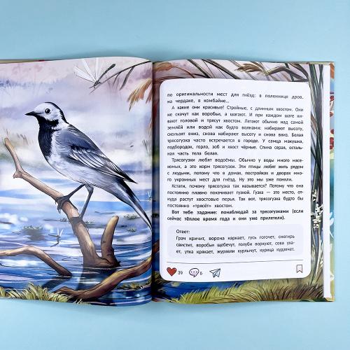 Птичий блог, или Когда твой папа  - орнитолог