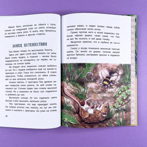 Мышонок Пик