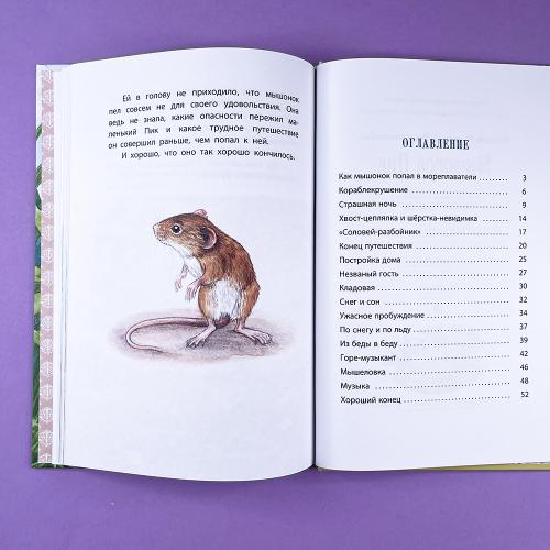 Мышонок Пик