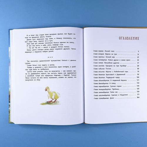 Чудесное путешествие Нильса с дикими гусями