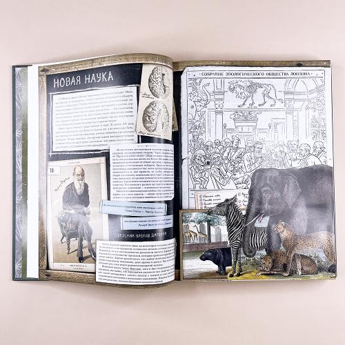 Затерянный мир