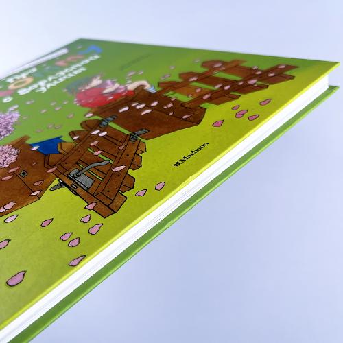 Про Лотту с Горластой улицы (книга с дефектом)