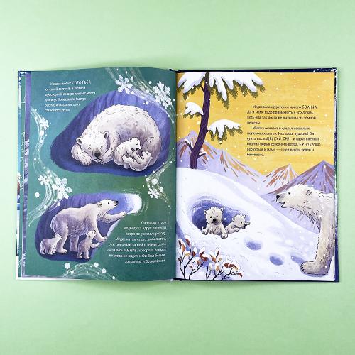 Белый медвежонок. Приключения в Арктике